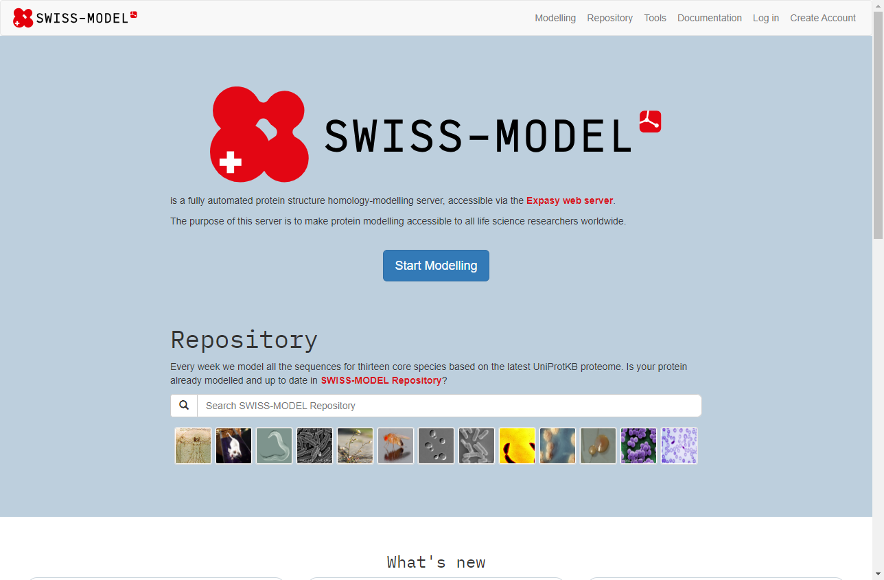 SwissModel SwissModel