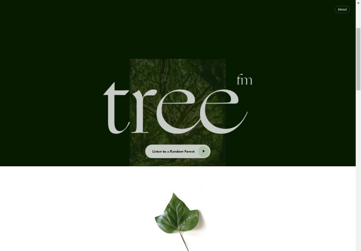 Tree.fm白噪音